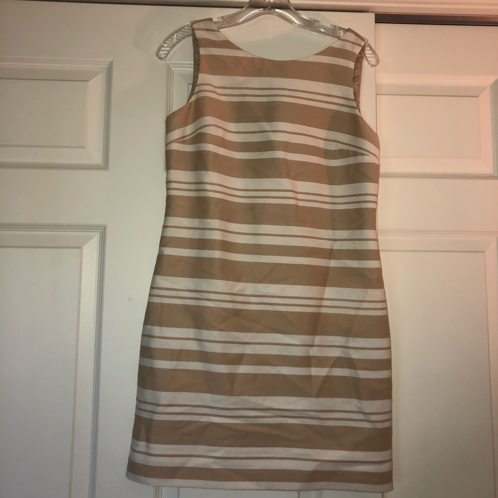 Banana Republic Striped Dress